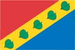 Flag of Zyuzino (municipality in Moscow)